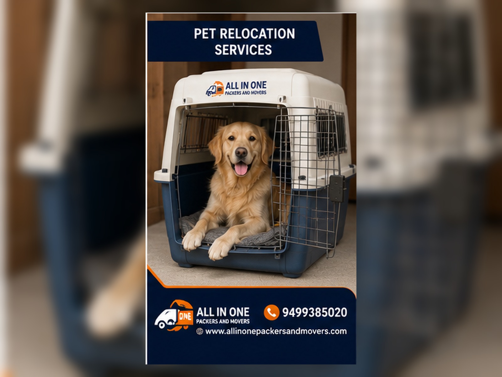 Pet Relocation Services in Goa
